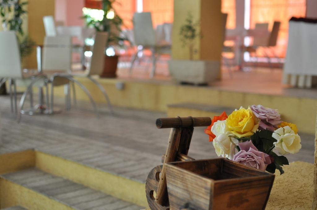 Theranda Boutique Hotel Тирана Экстерьер фото
